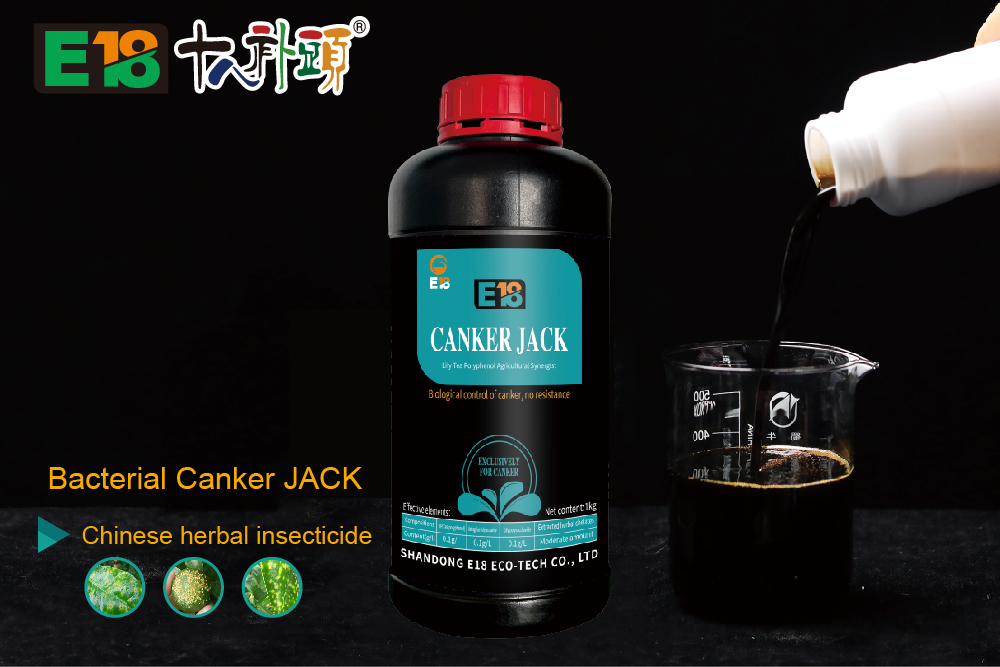 Bacterial Canker JACK