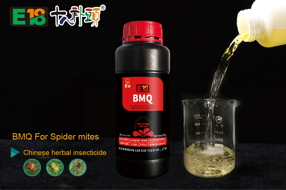 BMQ For Spider mites